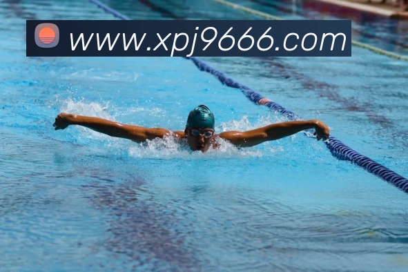 澳门新葡京入口品牌故事