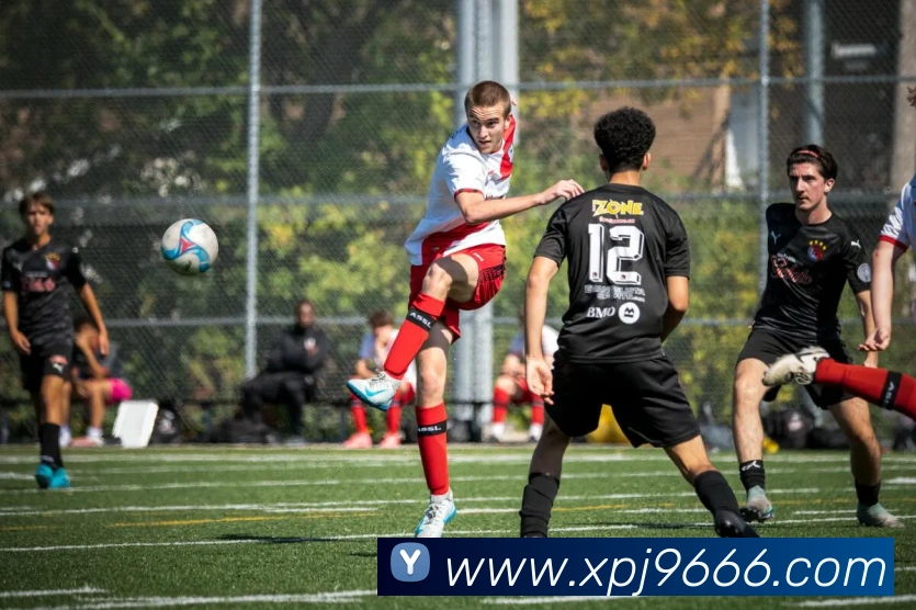 澳门新葡京入口服务体系